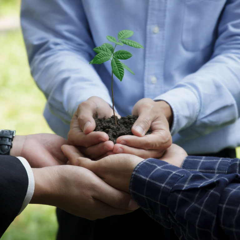 Grupo Evolus actualiza su política de Responsabilidad Social Corporativa